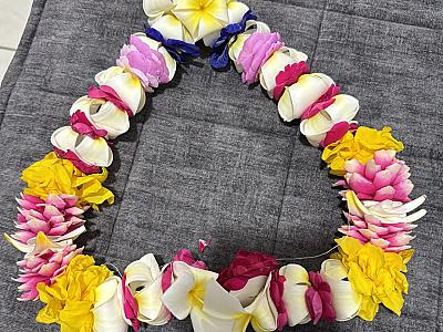 Rose , Champa , Vasant vibes | beautifully mixed for a divine Malaji feel