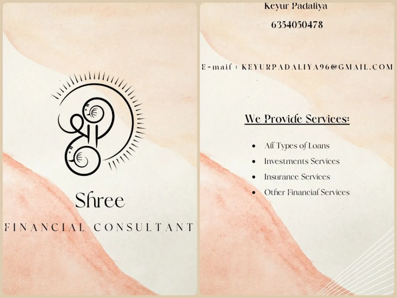 FINANCIAL SERVICES PROVIDER