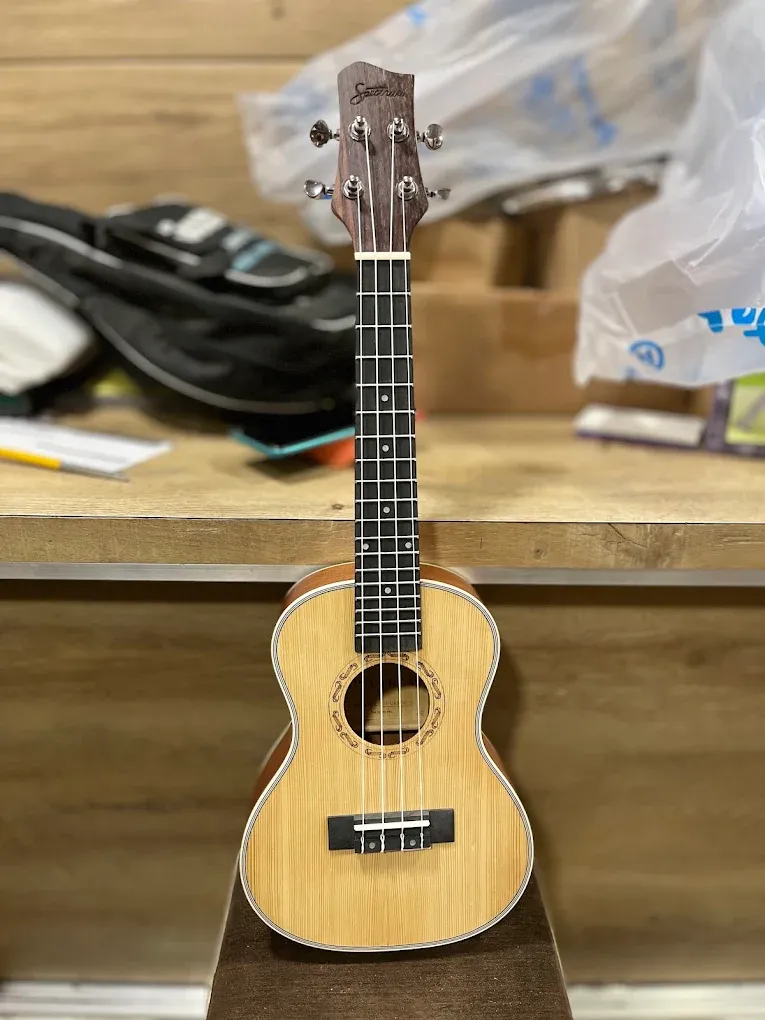 New Bhargav Musical - Musical Instruments | Best Music Store in Rajkot