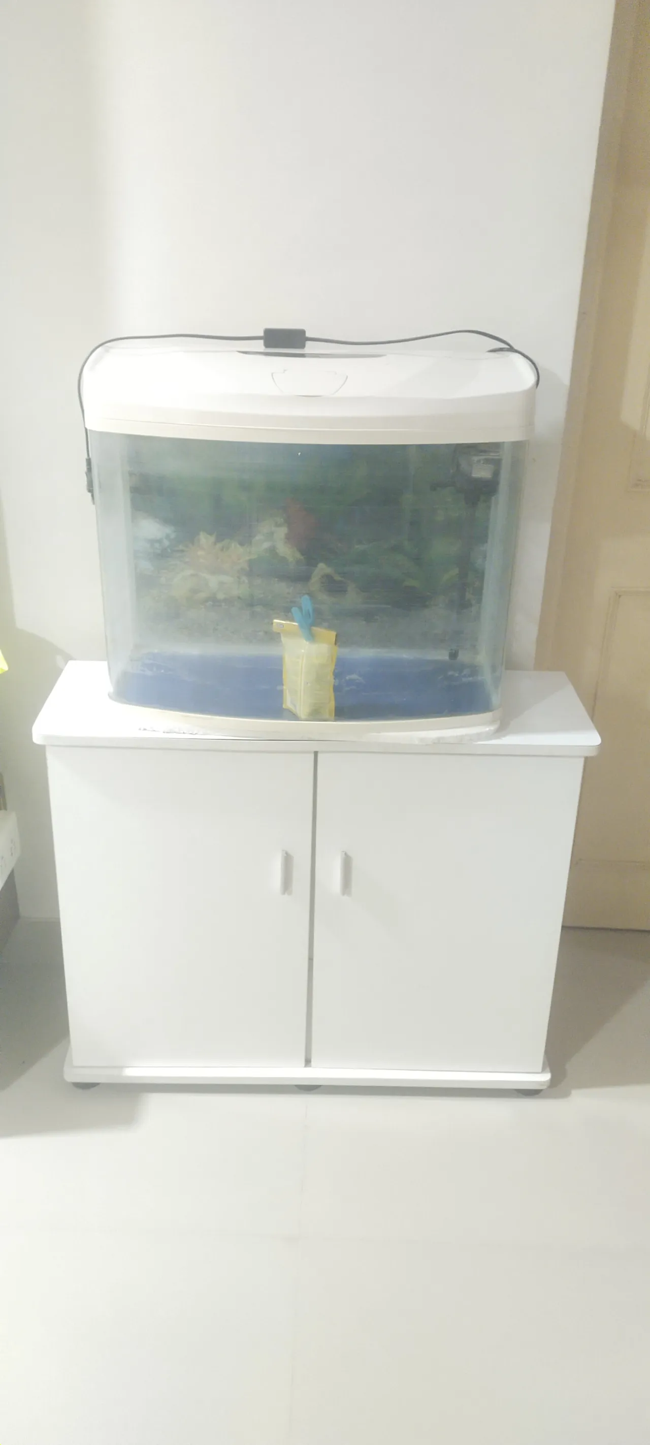 Glass aquarium with cabinet