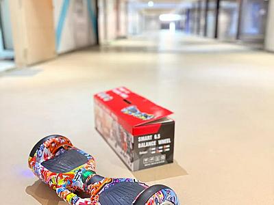 6.5 Inch Hoverboard, Self Balancing scoter | Reach and Unique Toys