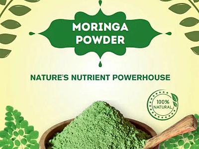 Organic Moringa Powder - Pure, Nutrient-Rich Superfood