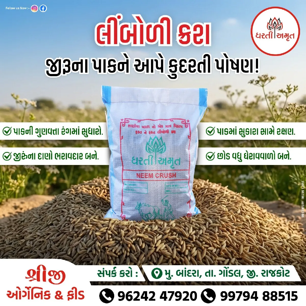 લીંબોળી ક્રશ