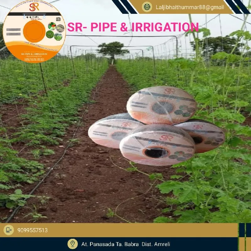 ટેટી, તરબૂચ, કેળા અને કપાસ માટે સુપર ક્વોલિટી ડ્રિપ નળી