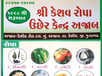 શાકભાજી રોપા, ફળફૂલ કલમ અને બિયારણ હવે એક જ જગ્યાએ ઉપલબ્ધ