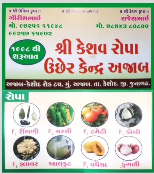 શાકભાજી રોપા, ફળફૂલ કલમ અને બિયારણ હવે એક જ જગ્યાએ ઉપલબ્ધ
