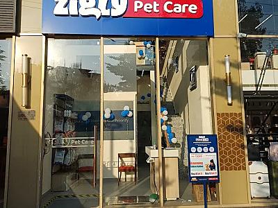 Zigly Pet Care - Vet Clinic, Pet Grooming & Pet Products