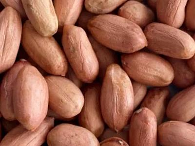 શિંગ દાણા લે-વેચ